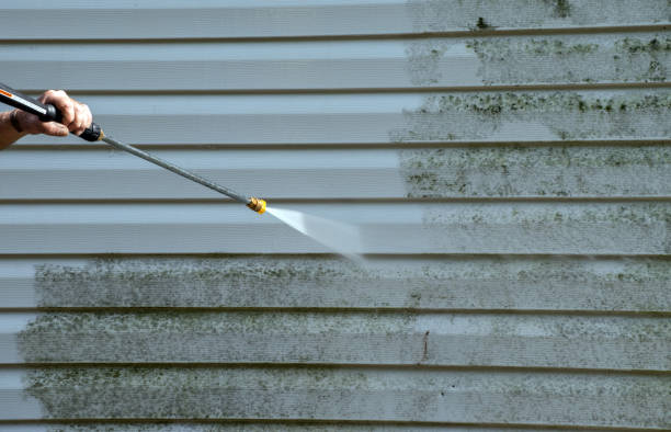 Best Fence Cleaning  in Melcher Dallas, IA